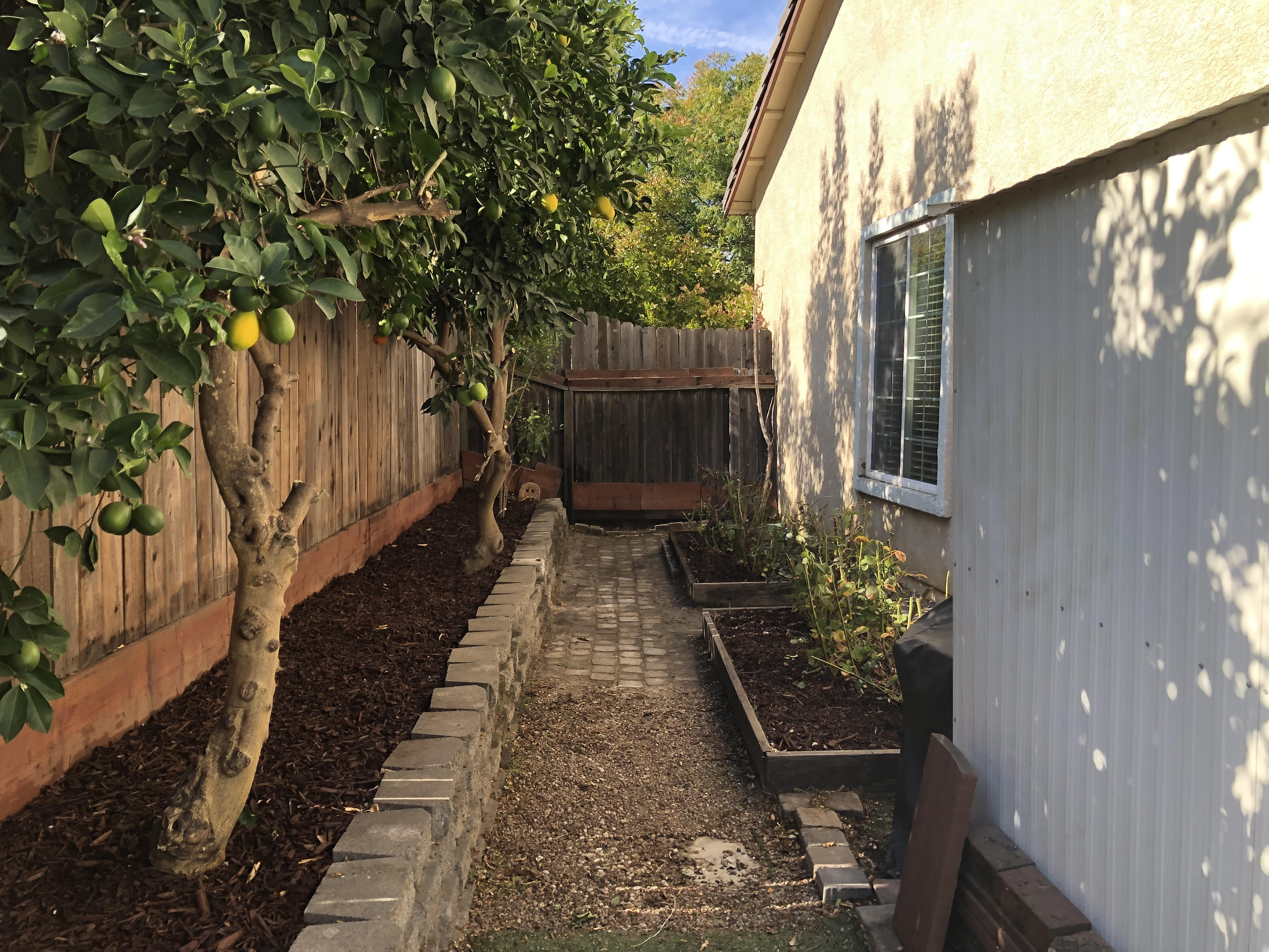 Plant clearing to open a walkway and garden beds
